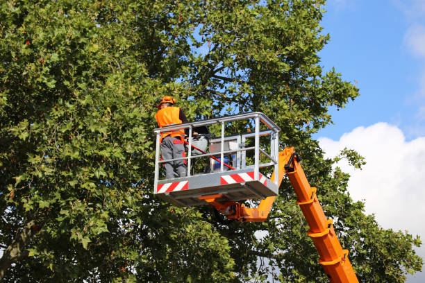 Mulching Services in Centerport, NY